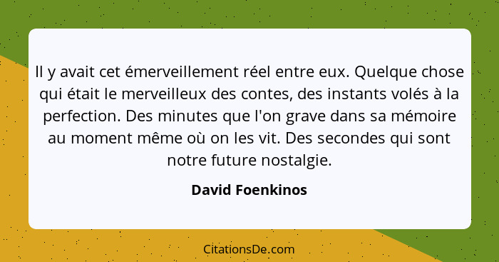 Il y avait cet émerveillement réel entre eux. Quelque chose qui était le merveilleux des contes, des instants volés à la perfection.... - David Foenkinos