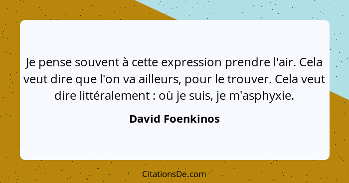 Je pense souvent à cette expression prendre l'air. Cela veut dire que l'on va ailleurs, pour le trouver. Cela veut dire littéralemen... - David Foenkinos