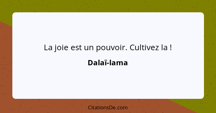 La joie est un pouvoir. Cultivez la !... - Dalaï-lama