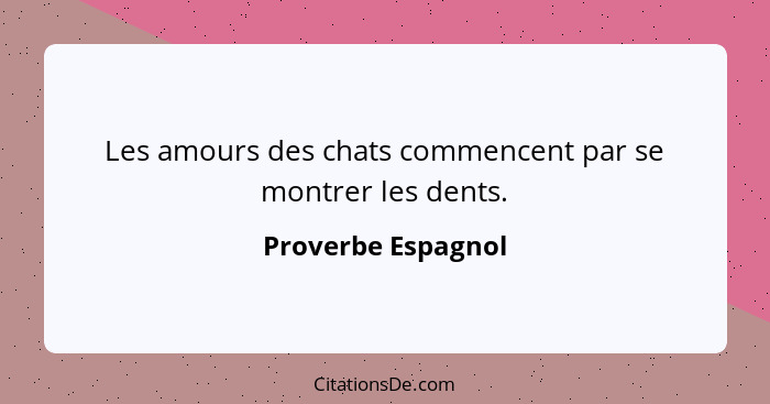 Les amours des chats commencent par se montrer les dents.... - Proverbe Espagnol