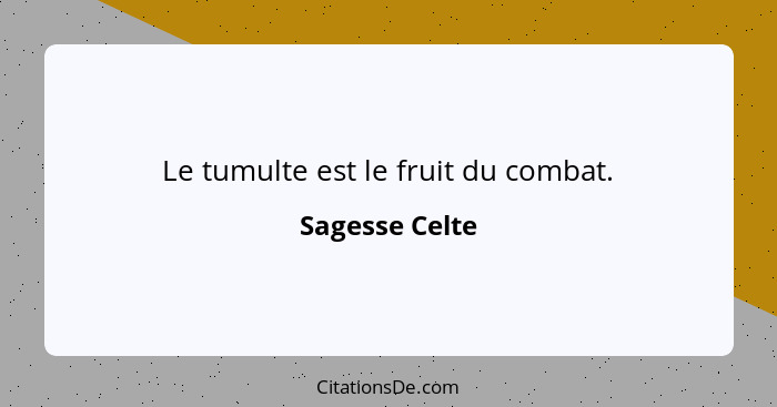 Le tumulte est le fruit du combat.... - Sagesse Celte