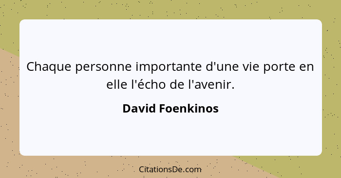 Chaque personne importante d'une vie porte en elle l'écho de l'avenir.... - David Foenkinos