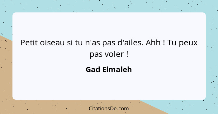 Petit oiseau si tu n'as pas d'ailes. Ahh ! Tu peux pas voler !... - Gad Elmaleh