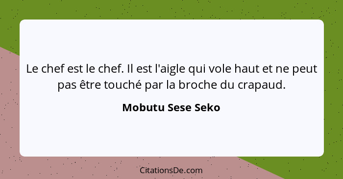 Le chef est le chef. Il est l'aigle qui vole haut et ne peut pas être touché par la broche du crapaud.... - Mobutu Sese Seko