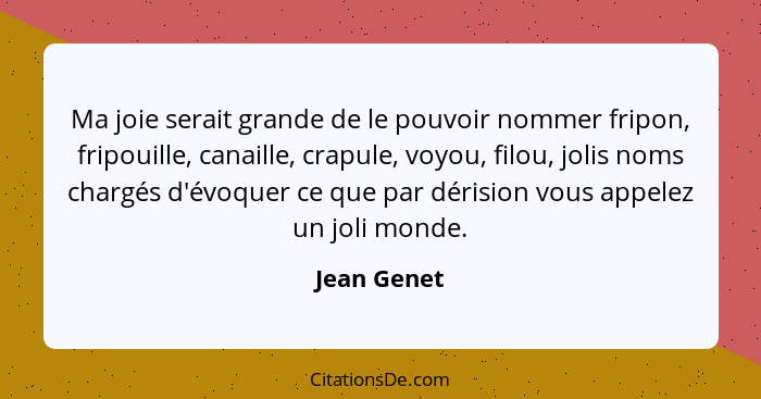 Ma joie serait grande de le pouvoir nommer fripon, fripouille, canaille, crapule, voyou, filou, jolis noms chargés d'évoquer ce que par d... - Jean Genet