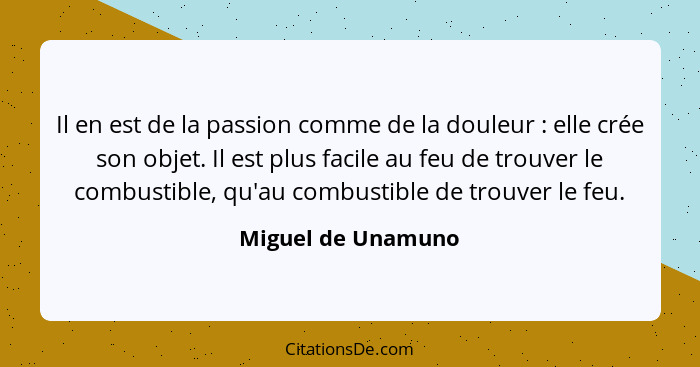 Il en est de la passion comme de la douleur : elle crée son objet. Il est plus facile au feu de trouver le combustible, qu'au... - Miguel de Unamuno