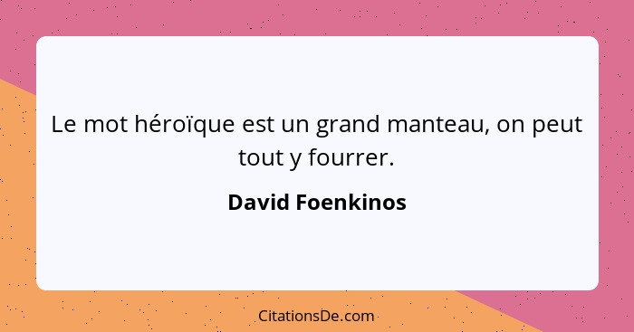 Le mot héroïque est un grand manteau, on peut tout y fourrer.... - David Foenkinos