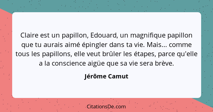 Claire est un papillon, Edouard, un magnifique papillon que tu aurais aimé épingler dans ta vie. Mais... comme tous les papillons, elle... - Jérôme Camut