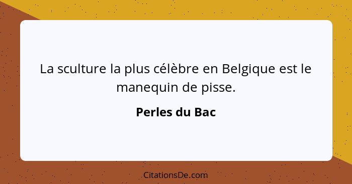 La sculture la plus célèbre en Belgique est le manequin de pisse.... - Perles du Bac