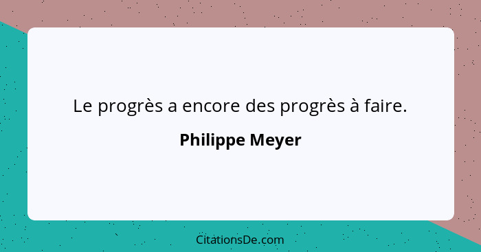 Le progrès a encore des progrès à faire.... - Philippe Meyer