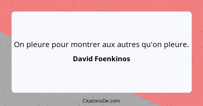 On pleure pour montrer aux autres qu'on pleure.... - David Foenkinos