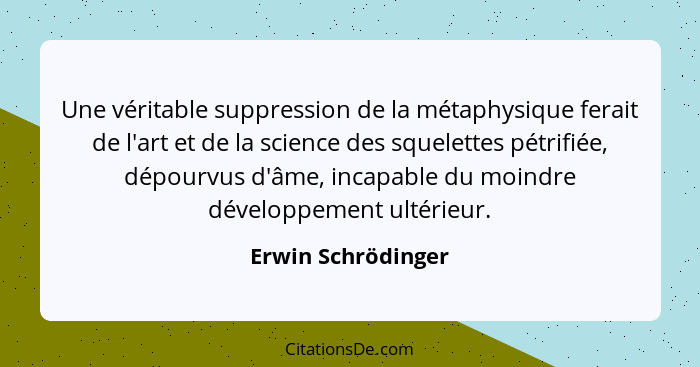 Une véritable suppression de la métaphysique ferait de l'art et de la science des squelettes pétrifiée, dépourvus d'âme, incapable... - Erwin Schrödinger