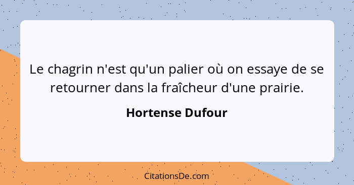 Le chagrin n'est qu'un palier où on essaye de se retourner dans la fraîcheur d'une prairie.... - Hortense Dufour