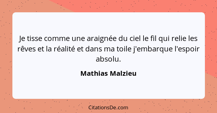 Je tisse comme une araignée du ciel le fil qui relie les rêves et la réalité et dans ma toile j'embarque l'espoir absolu.... - Mathias Malzieu