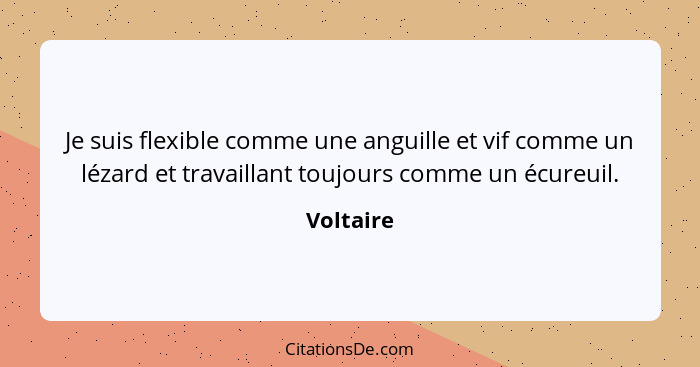 Je suis flexible comme une anguille et vif comme un lézard et travaillant toujours comme un écureuil.... - Voltaire