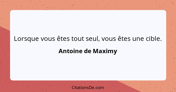 Lorsque vous êtes tout seul, vous êtes une cible.... - Antoine de Maximy