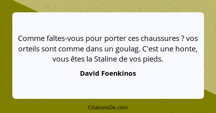 Comme faîtes-vous pour porter ces chaussures ? vos orteils sont comme dans un goulag. C'est une honte, vous êtes la Staline de... - David Foenkinos