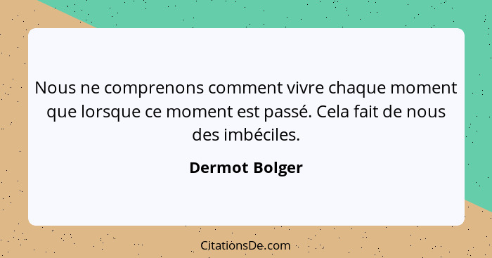 Nous ne comprenons comment vivre chaque moment que lorsque ce moment est passé. Cela fait de nous des imbéciles.... - Dermot Bolger