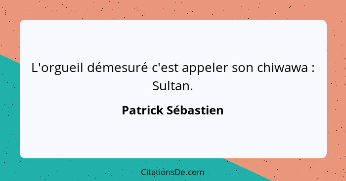 L'orgueil démesuré c'est appeler son chiwawa : Sultan.... - Patrick Sébastien