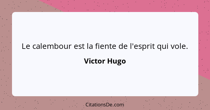 Le calembour est la fiente de l'esprit qui vole.... - Victor Hugo