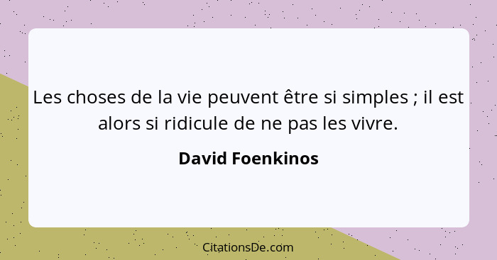 Les choses de la vie peuvent être si simples ; il est alors si ridicule de ne pas les vivre.... - David Foenkinos