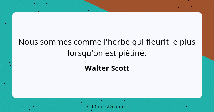 Nous sommes comme l'herbe qui fleurit le plus lorsqu'on est piétiné.... - Walter Scott