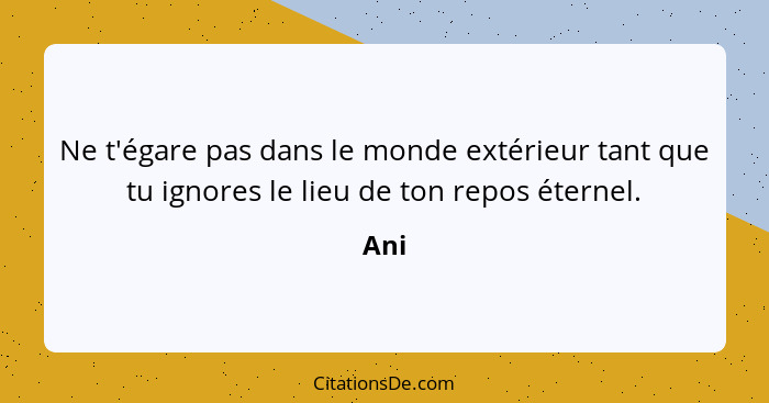 Ne t'égare pas dans le monde extérieur tant que tu ignores le lieu de ton repos éternel.... - Ani