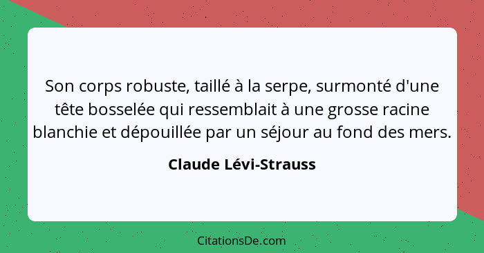 Son corps robuste, taillé à la serpe, surmonté d'une tête bosselée qui ressemblait à une grosse racine blanchie et dépouillée pa... - Claude Lévi-Strauss