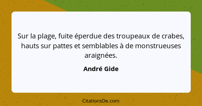 Sur la plage, fuite éperdue des troupeaux de crabes, hauts sur pattes et semblables à de monstrueuses araignées.... - André Gide