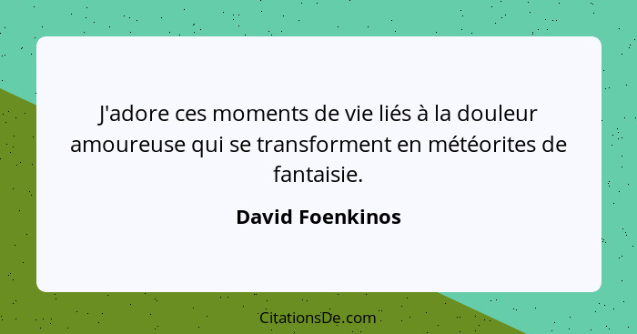 J'adore ces moments de vie liés à la douleur amoureuse qui se transforment en météorites de fantaisie.... - David Foenkinos