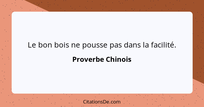 Le bon bois ne pousse pas dans la facilité.... - Proverbe Chinois