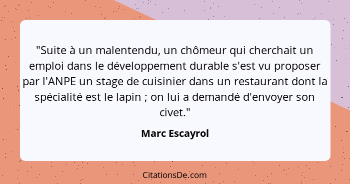 "Suite à un malentendu, un chômeur qui cherchait un emploi dans le développement durable s'est vu proposer par l'ANPE un stage de cuis... - Marc Escayrol