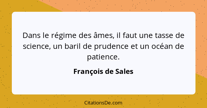 Dans le régime des âmes, il faut une tasse de science, un baril de prudence et un océan de patience.... - François de Sales