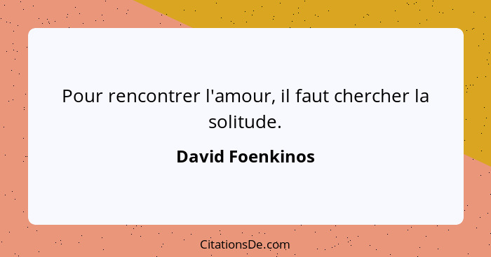 Pour rencontrer l'amour, il faut chercher la solitude.... - David Foenkinos