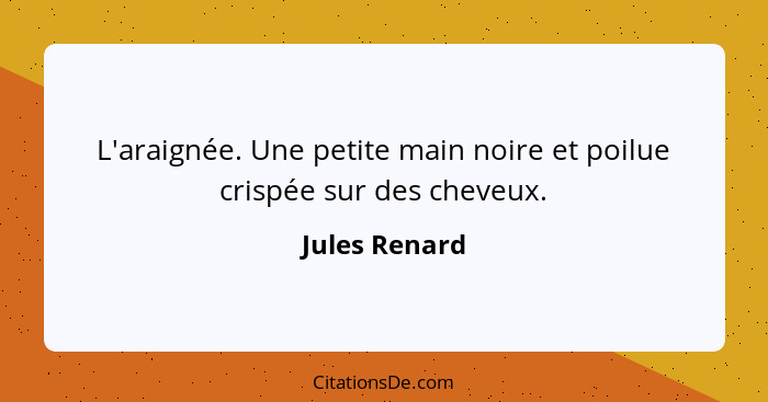 L'araignée. Une petite main noire et poilue crispée sur des cheveux.... - Jules Renard