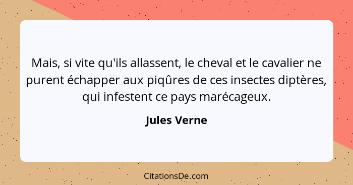 Mais, si vite qu'ils allassent, le cheval et le cavalier ne purent échapper aux piqûres de ces insectes diptères, qui infestent ce pays... - Jules Verne