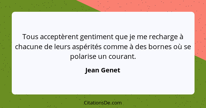 Tous acceptèrent gentiment que je me recharge à chacune de leurs aspérités comme à des bornes où se polarise un courant.... - Jean Genet