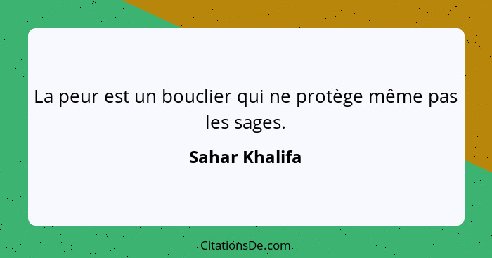 La peur est un bouclier qui ne protège même pas les sages.... - Sahar Khalifa