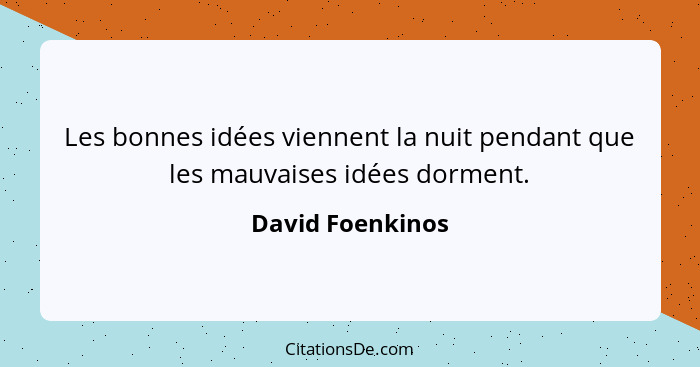 Les bonnes idées viennent la nuit pendant que les mauvaises idées dorment.... - David Foenkinos