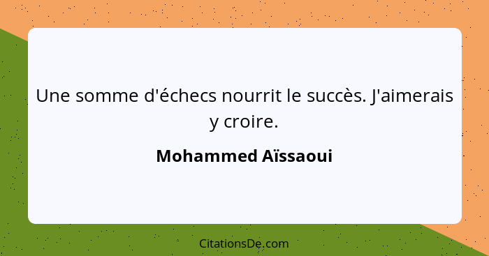 Une somme d'échecs nourrit le succès. J'aimerais y croire.... - Mohammed Aïssaoui