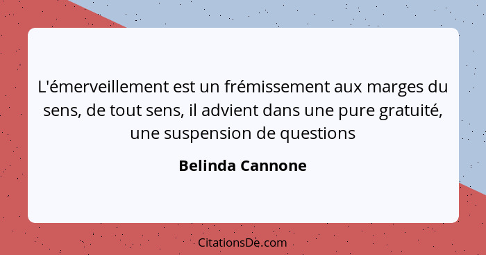 L'émerveillement est un frémissement aux marges du sens, de tout sens, il advient dans une pure gratuité, une suspension de question... - Belinda Cannone