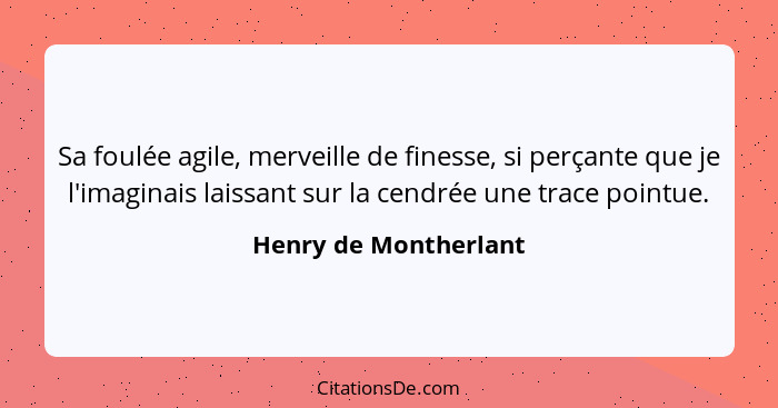 Sa foulée agile, merveille de finesse, si perçante que je l'imaginais laissant sur la cendrée une trace pointue.... - Henry de Montherlant