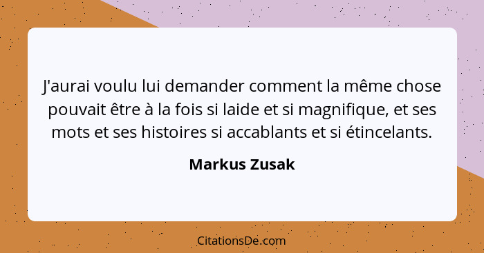 J'aurai voulu lui demander comment la même chose pouvait être à la fois si laide et si magnifique, et ses mots et ses histoires si acca... - Markus Zusak