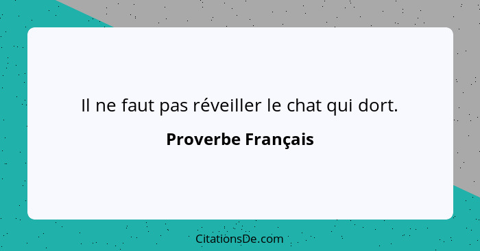 Il ne faut pas réveiller le chat qui dort.... - Proverbe Français