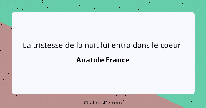 La tristesse de la nuit lui entra dans le coeur.... - Anatole France