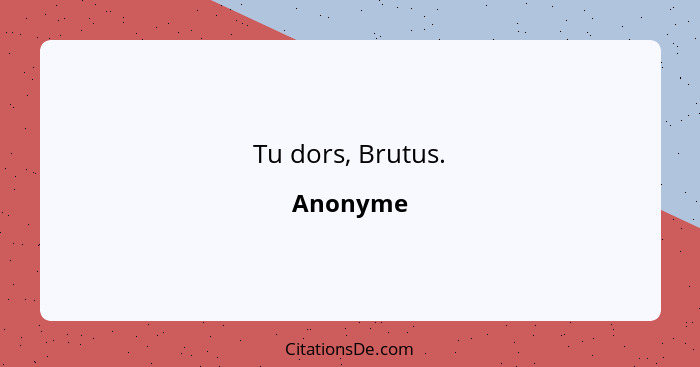 Tu dors, Brutus.... - Anonyme