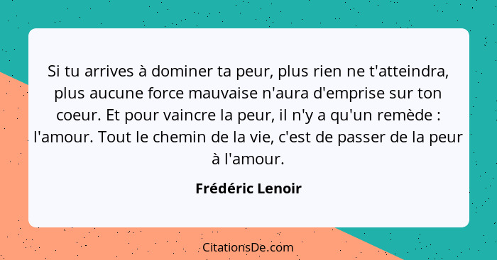 Si tu arrives à dominer ta peur, plus rien ne t'atteindra, plus aucune force mauvaise n'aura d'emprise sur ton coeur. Et pour vaincr... - Frédéric Lenoir