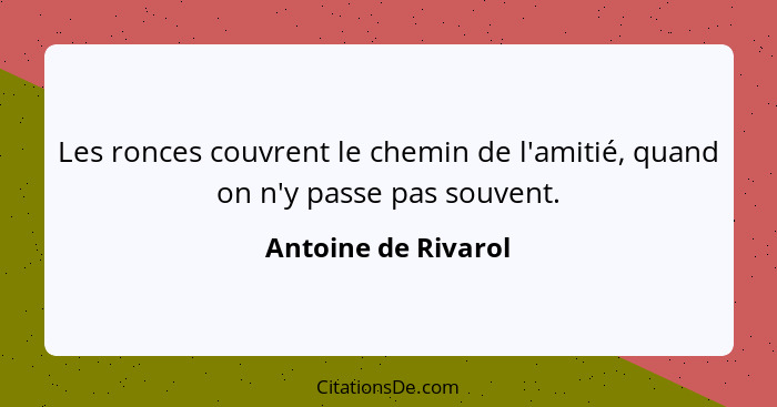 Les ronces couvrent le chemin de l'amitié, quand on n'y passe pas souvent.... - Antoine de Rivarol