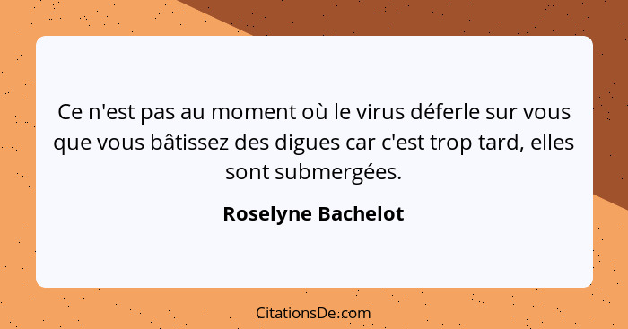 Ce n'est pas au moment où le virus déferle sur vous que vous bâtissez des digues car c'est trop tard, elles sont submergées.... - Roselyne Bachelot