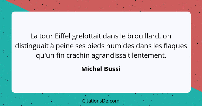 La tour Eiffel grelottait dans le brouillard, on distinguait à peine ses pieds humides dans les flaques qu'un fin crachin agrandissait... - Michel Bussi